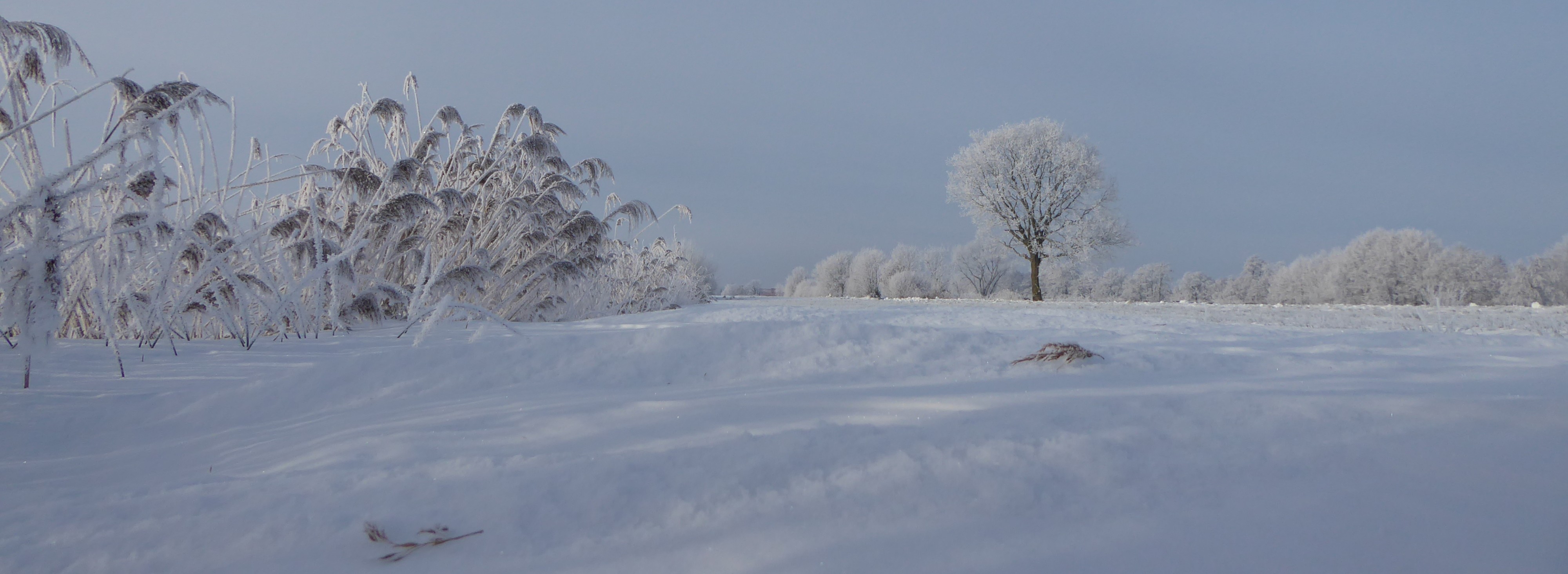 Diese Seite befindet sich noch Aufbau. Schauen Sie gerne bald wieder vorbei.